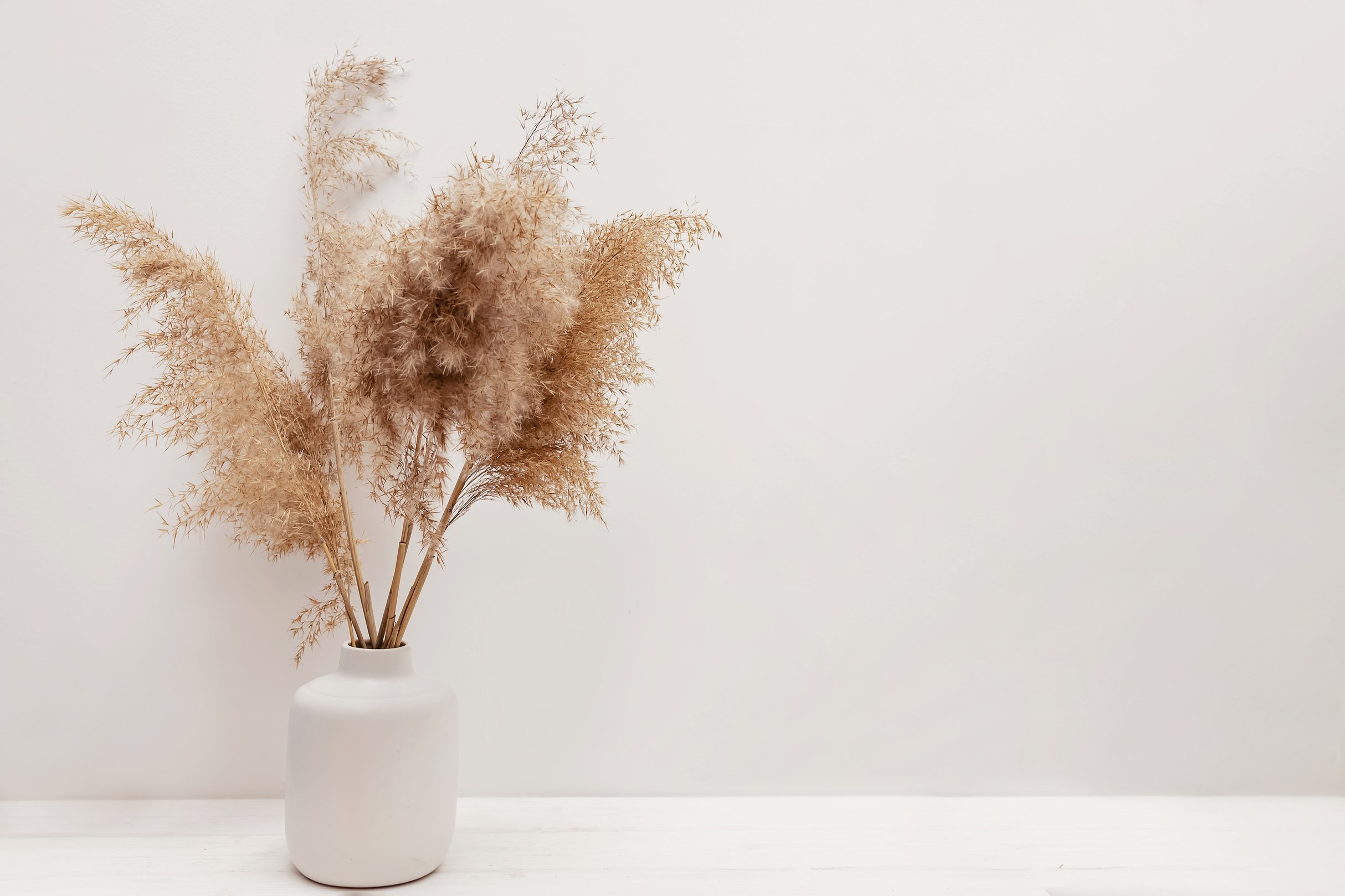 Pampas Grass in a Vase near White Wall